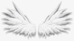 创意白色的翅膀造型素材