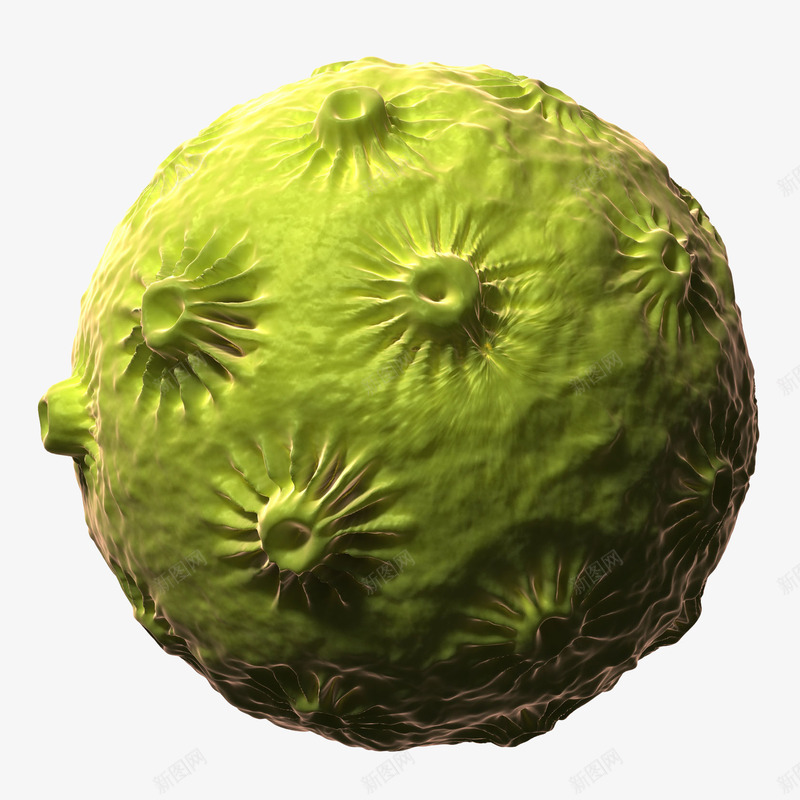 病毒3D立体插画png免抠素材_88icon https://88icon.com 微生物学 生物学 病毒3D立体插画 病毒学 病毒颗粒 细胞 绿色
