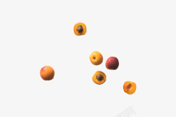 开核的杏子水果素材