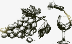 手绘线描葡萄和葡萄酒矢量图素材