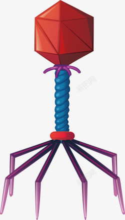 病毒模型病毒模型矢量图高清图片