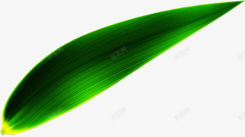 绿色粽叶端午节png免抠素材_88icon https://88icon.com 端午节 粽叶 素材 绿色