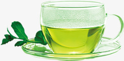卡通绿色养生茶植物茶叶素材