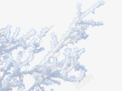 积雪的树枝素材