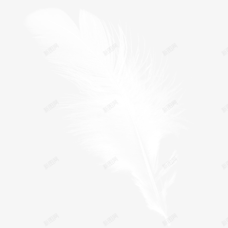 白色弯曲的羽毛png免抠素材_88icon https://88icon.com png图形 png装饰 白色 羽毛 装饰