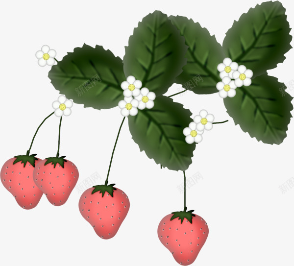 草莓小花绿叶png免抠素材_88icon https://88icon.com 植物 白色小花 红色草莓 绿叶