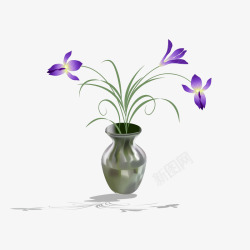 紫色花的盆栽素材