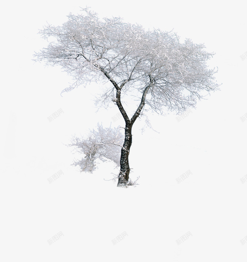 冬季雪景风光大树png免抠素材_88icon https://88icon.com 冬季 大树 雪景 风光