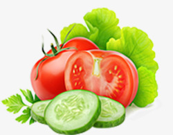 西红柿黄瓜生菜素材