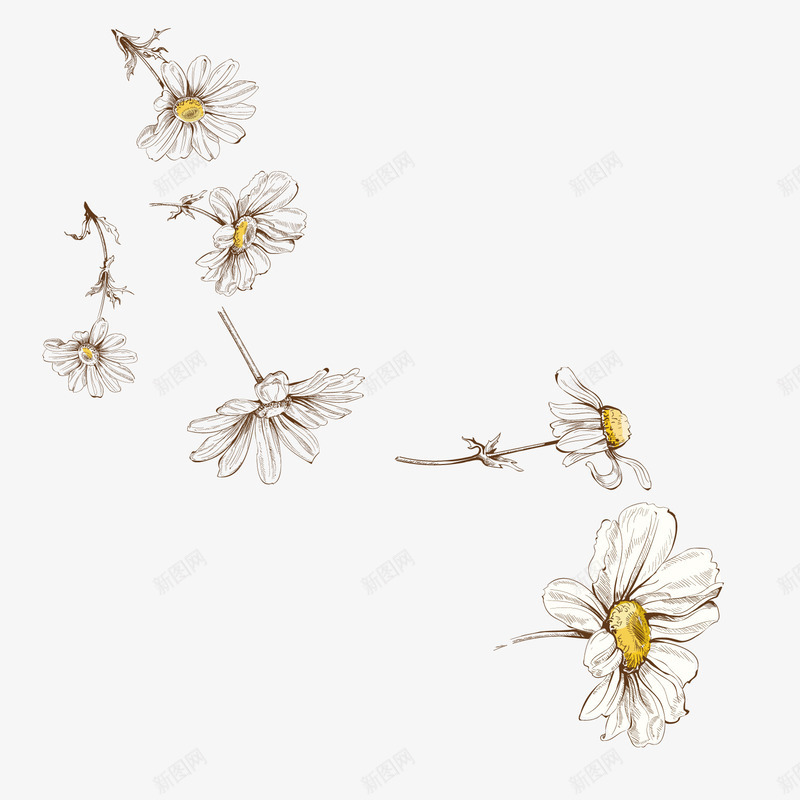 小菊花手绘png免抠素材_88icon https://88icon.com banner 卡通手绘 小菊花 海报 矢量ai 网页 花瓣 菊花图案 菊花彩绘