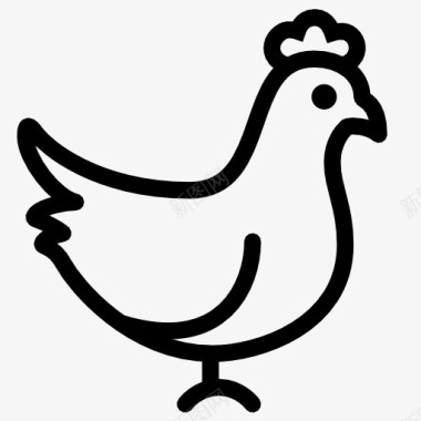 鸡和狐狸chickenicon图标图标