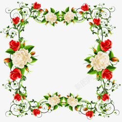 红玫瑰花边红白玫瑰花藤相框高清图片