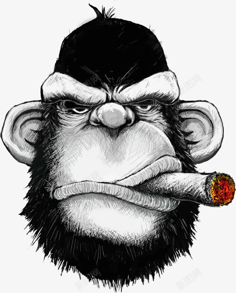黑色大猩猩png免抠素材_88icon https://88icon.com 卡通猩猩 猩猩头像 雪茄 黑猩猩