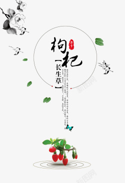 枸杞膳食素材