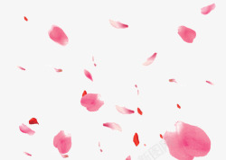 粉色玫瑰花瓣主页装修素材