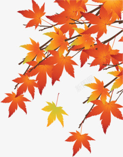 红色枫叶秋季宣传海报素材