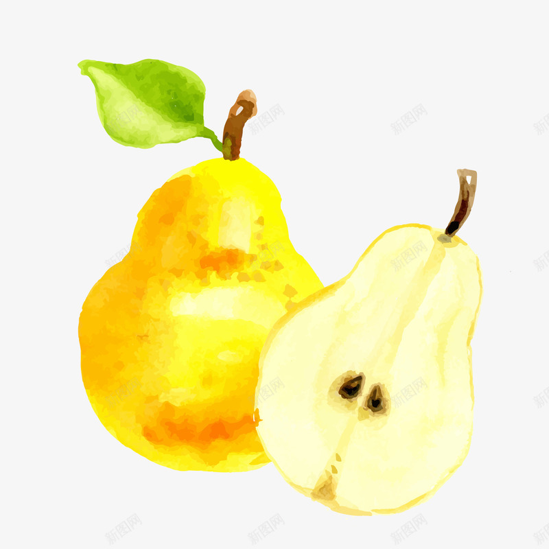 手绘黄色雪梨png免抠素材_88icon https://88icon.com 手绘水果 手绘食物 梨子 背景装饰 雪梨 鸭梨 黄色