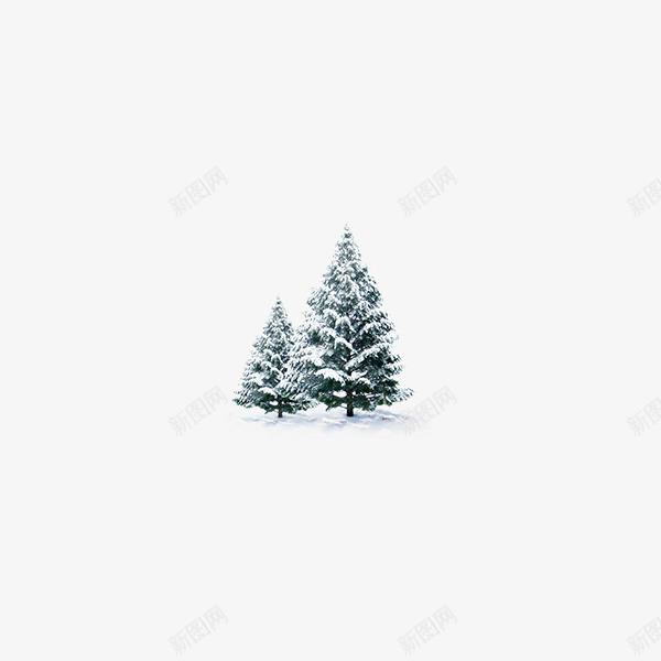 雪中的松树png免抠素材_88icon https://88icon.com 冬季 大雪 松树