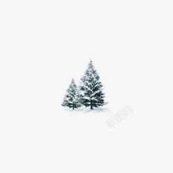 雪中的松树素材