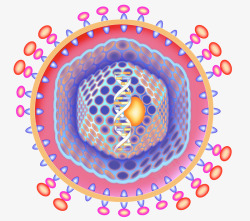 微生物学彩色病毒基手绘插画高清图片