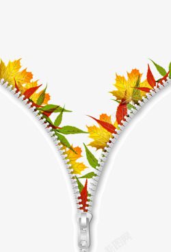 创意秋天秋季拉链枫叶装饰素材