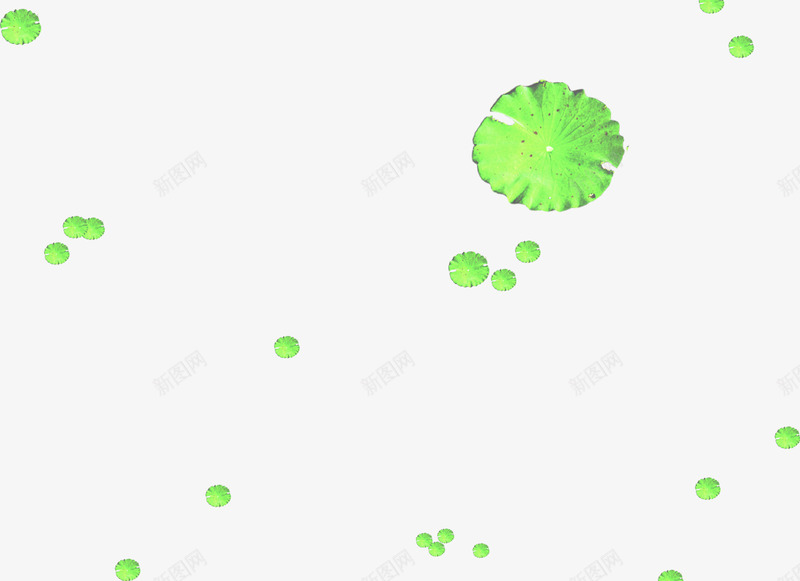 手绘夏日荷叶效果png免抠素材_88icon https://88icon.com 夏日 效果 荷叶 设计