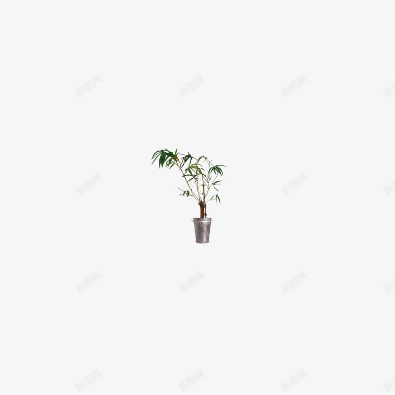 盆栽花盆绿色植物png免抠素材_88icon https://88icon.com 叶 叶子 叶片 树叶 植物 清新 盆栽 绿叶 绿色 绿色树叶 绿色植物 花盆