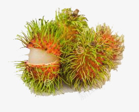 一堆红毛丹png免抠素材_88icon https://88icon.com 植物 水果 红毛丹 食物