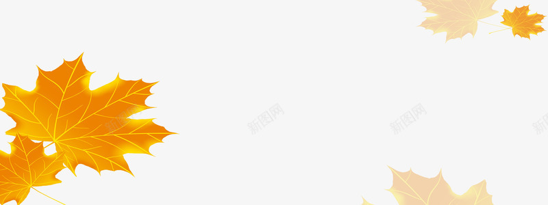 秋季背景海报psd免抠素材_88icon https://88icon.com 吊旗 商场吊旗 广告 枫叶 秋天 秋季 秋季新品上