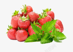 草莓水果叶子素材