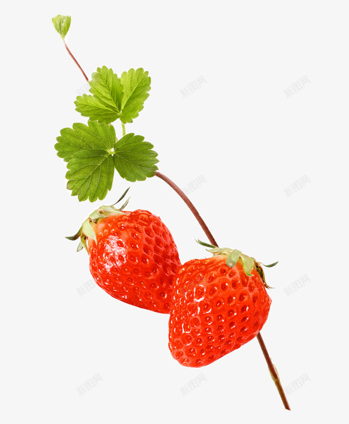 新鲜草莓微距特写png免抠素材_88icon https://88icon.com 免抠PNG 实物 成熟 新鲜草莓微距特写 果实 水果 美食 草莓叶