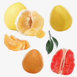 红蜜柚子多种分布组合素材