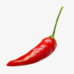 青花椒辣椒素材