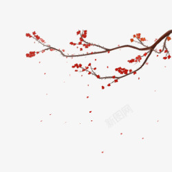 雪松树手绘中国风手绘冬至梅花6高清图片