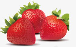 鲜艳的草莓矢量图素材