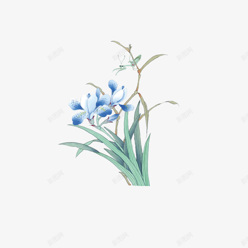 紫色的花png免抠素材_88icon https://88icon.com 中国风 水墨画 水彩 紫色的花 花儿 花卉元素 鲜花