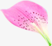 粉色花瓣地产广告单页素材