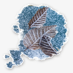 霜降节气漂雪树叶装饰素材