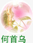 何首乌药材png免抠素材_88icon https://88icon.com 何首乌 圆球 粉色 药材 设计