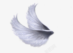 白色羽毛翅膀素材
