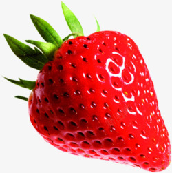 红色水果草莓素材