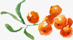 手绘水彩水果樱桃素材