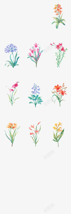 各种手绘花束素材