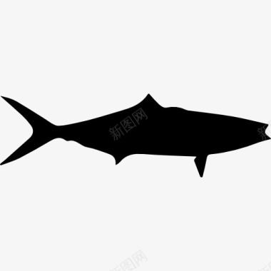 各种小鱼免抠png彩虹鱼流道形状图标图标