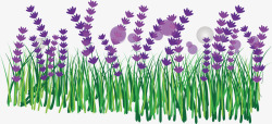 紫色花丛清新花坪高清图片