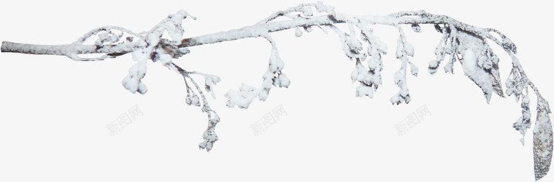 冬日冰雪覆盖树枝png免抠素材_88icon https://88icon.com 冬日 冰雪 冰雪覆盖 树枝 覆盖 雪枝