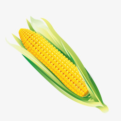 农副黄色玉米装饰矢量图高清图片
