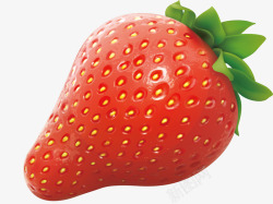 精美草莓水果矢量图素材
