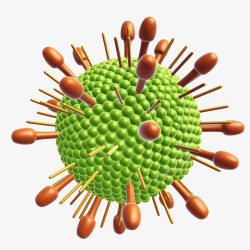 病毒颗粒免抠PNG病原体颗粒3D立体插画高清图片
