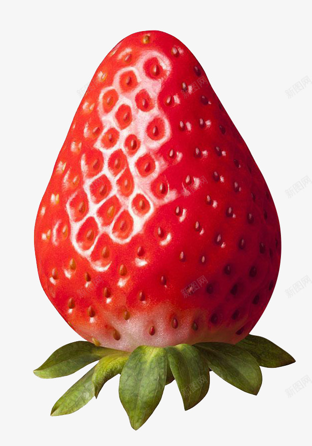 红色诱人的大草莓png免抠素材_88icon https://88icon.com 实物 成品实物 水果 水果草莓 烂水果 甜美的草莓 红色